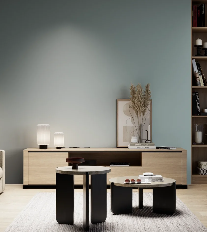 P10_SNIEZKA_salon_05_zimne_GREY_S3010-B30G
