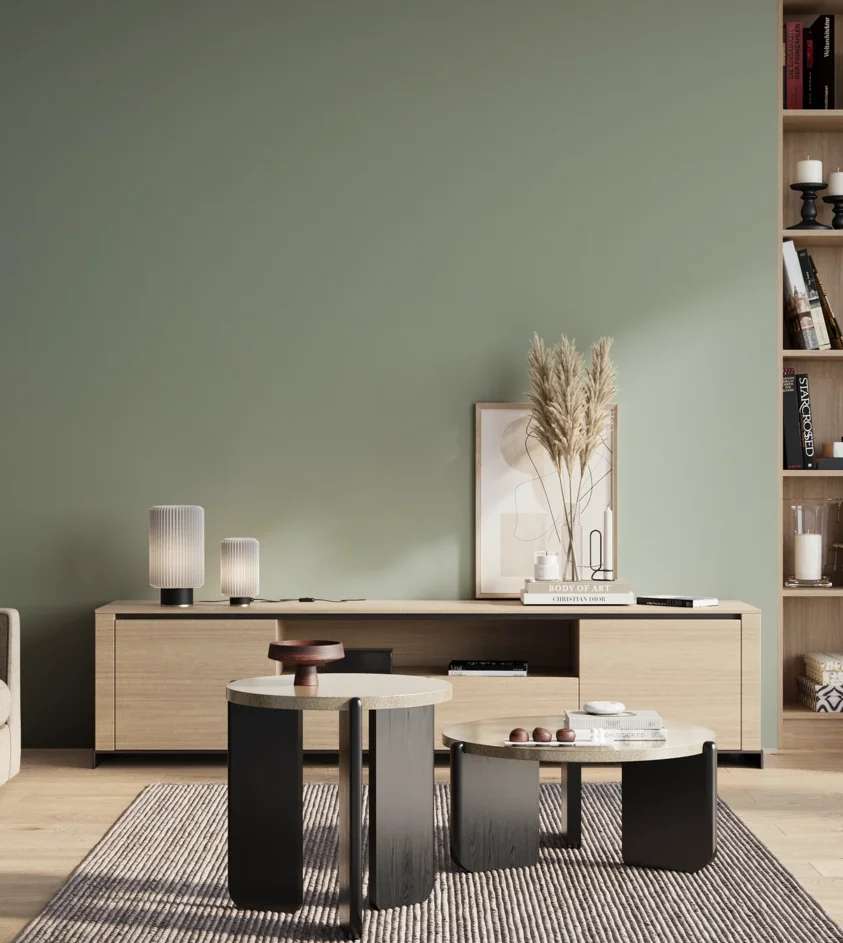P10_SNIEZKA_salon_01_poranek_GREY_S3010-G