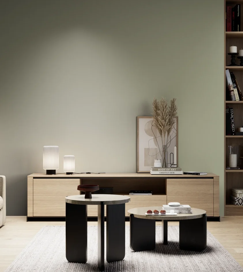 P10_SNIEZKA_salon_05_zimne_GREY_S3010-G60Y
