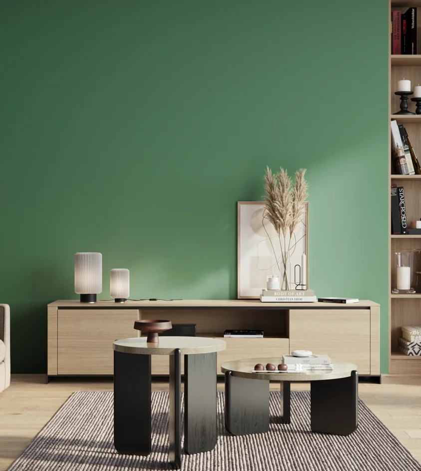 P10_SNIEZKA_salon_01_poranek_GREY_S3040-G