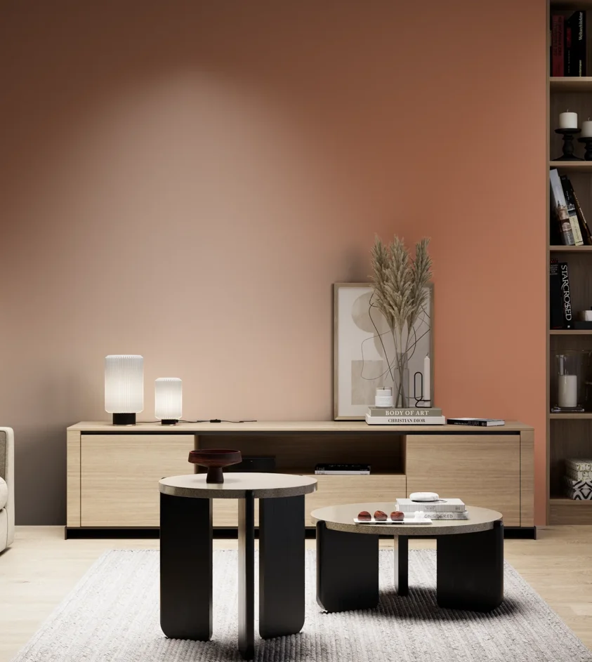 P10_SNIEZKA_salon_05_zimne_GREY_S3040-Y60R