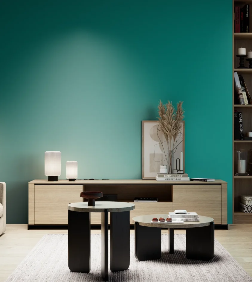 P10_SNIEZKA_salon_05_zimne_GREY_S3050-B60G