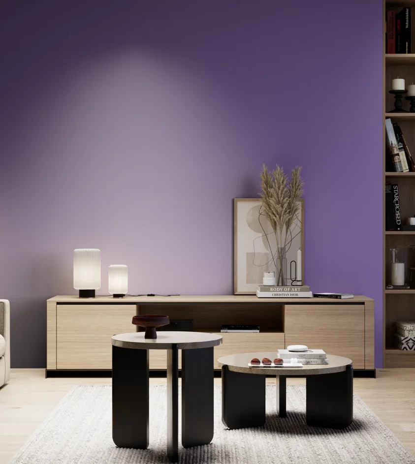 P10_SNIEZKA_salon_05_zimne_GREY_S3050-R60B