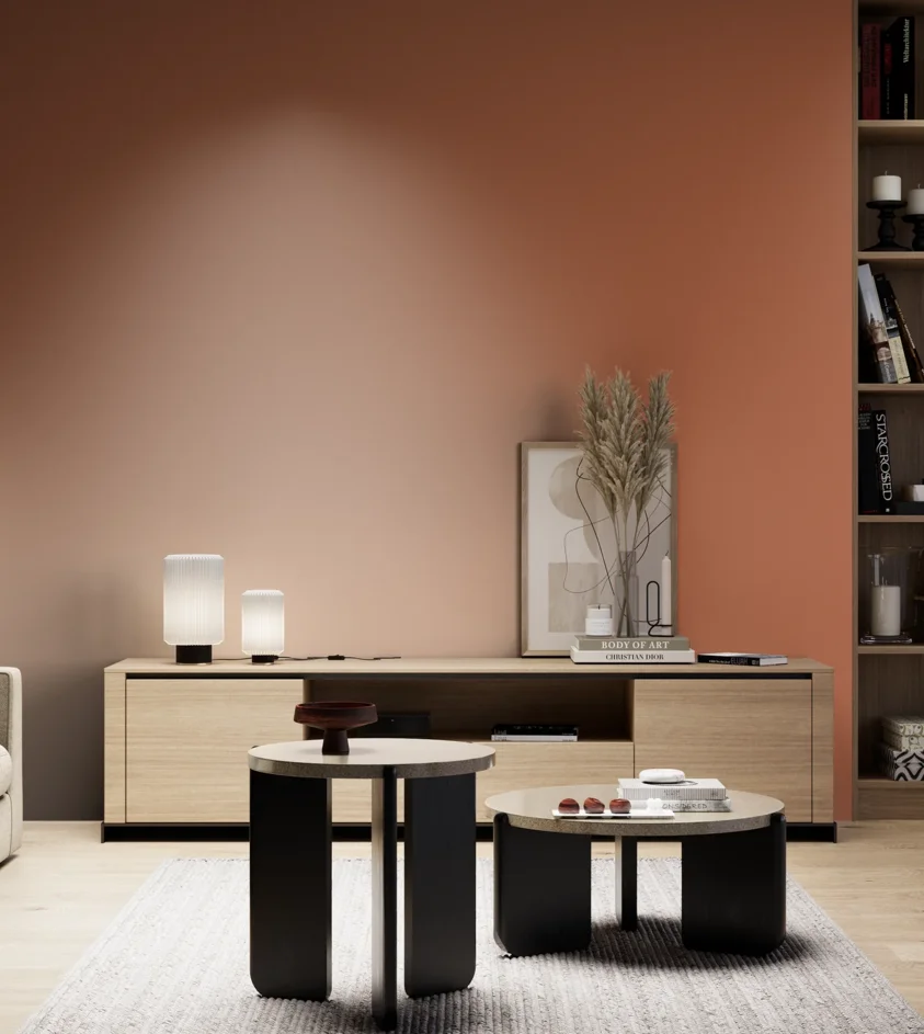 P10_SNIEZKA_salon_05_zimne_GREY_S3050-Y60R