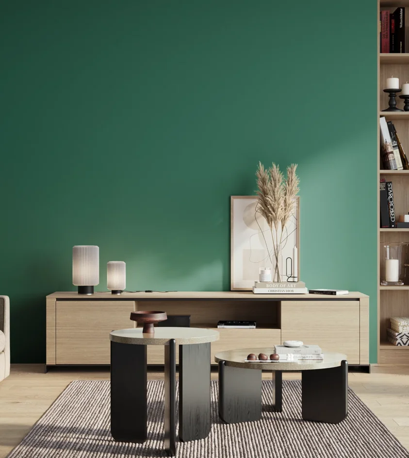 P10_SNIEZKA_salon_01_poranek_GREY_S4040-B80G