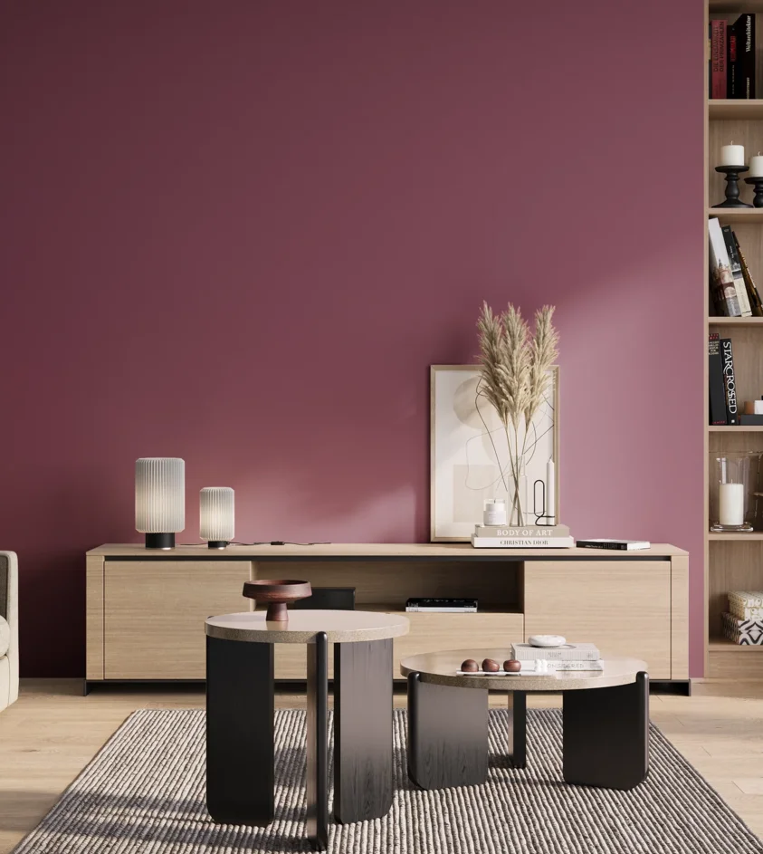 P10_SNIEZKA_salon_01_poranek_GREY_S4040-R30B