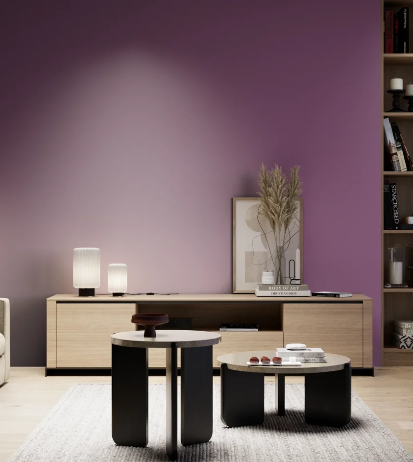 P10_SNIEZKA_salon_05_zimne_GREY_S4040-R40B