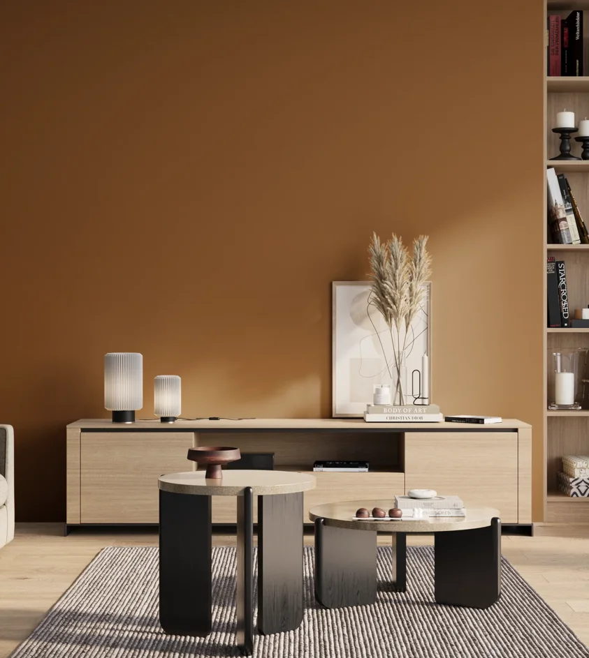 P10_SNIEZKA_salon_01_poranek_GREY_S4550-Y30R