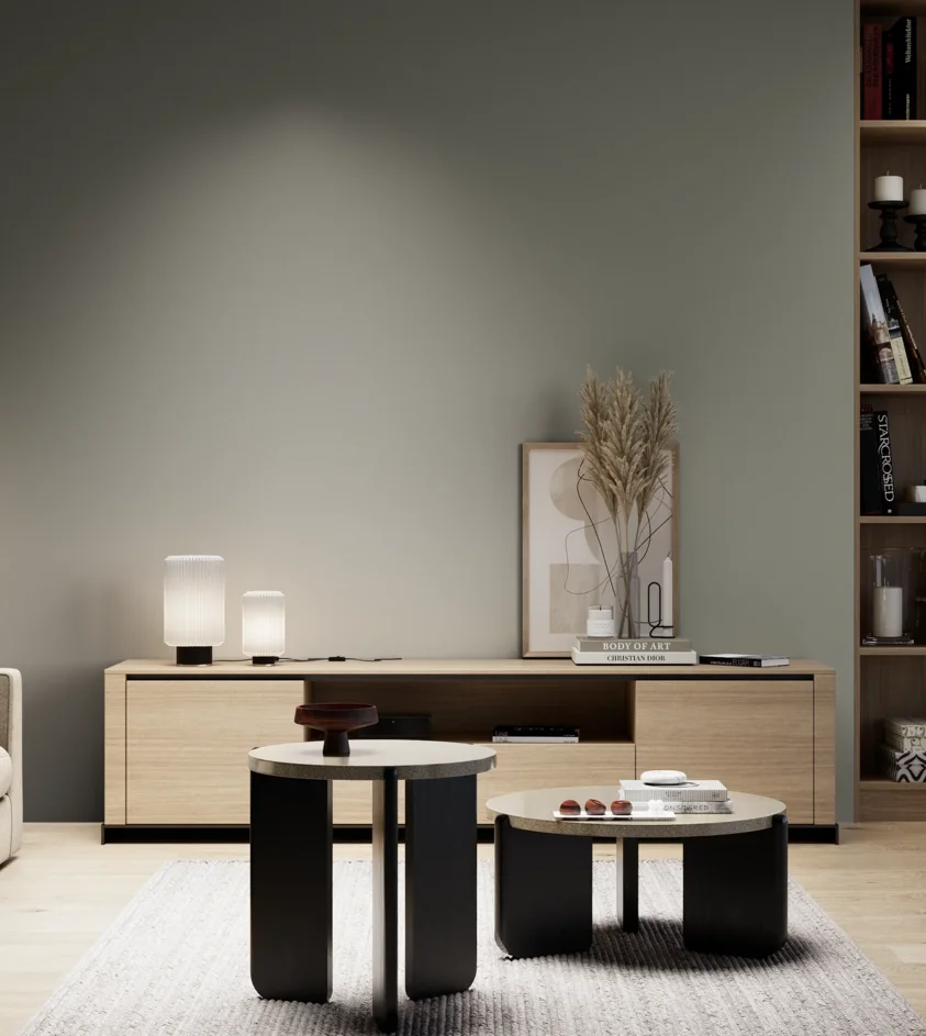 P10_SNIEZKA_salon_05_zimne_GREY_S5005-G50Y