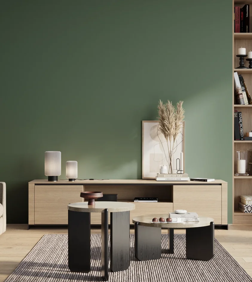 P10_SNIEZKA_salon_01_poranek_GREY_S5020-G