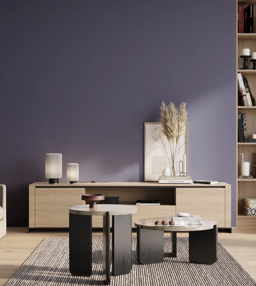 P10_SNIEZKA_salon_01_poranek_GREY_S5030-R70B