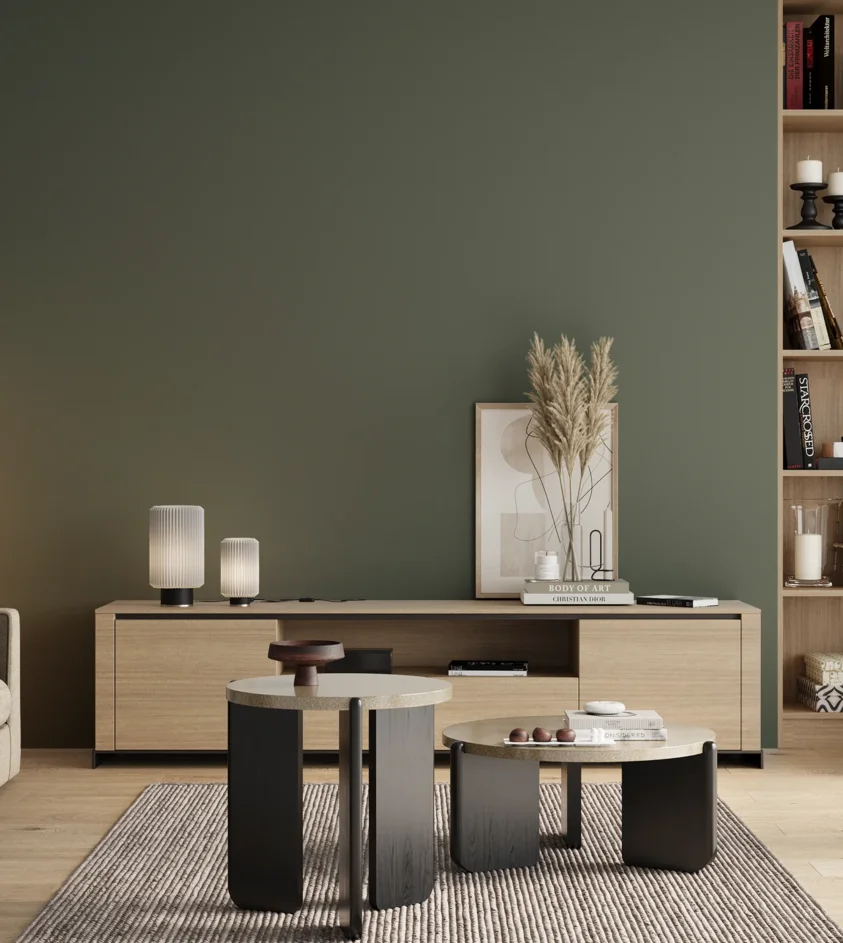 P10_SNIEZKA_salon_00_neutral_GREY_S6010-G10Y
