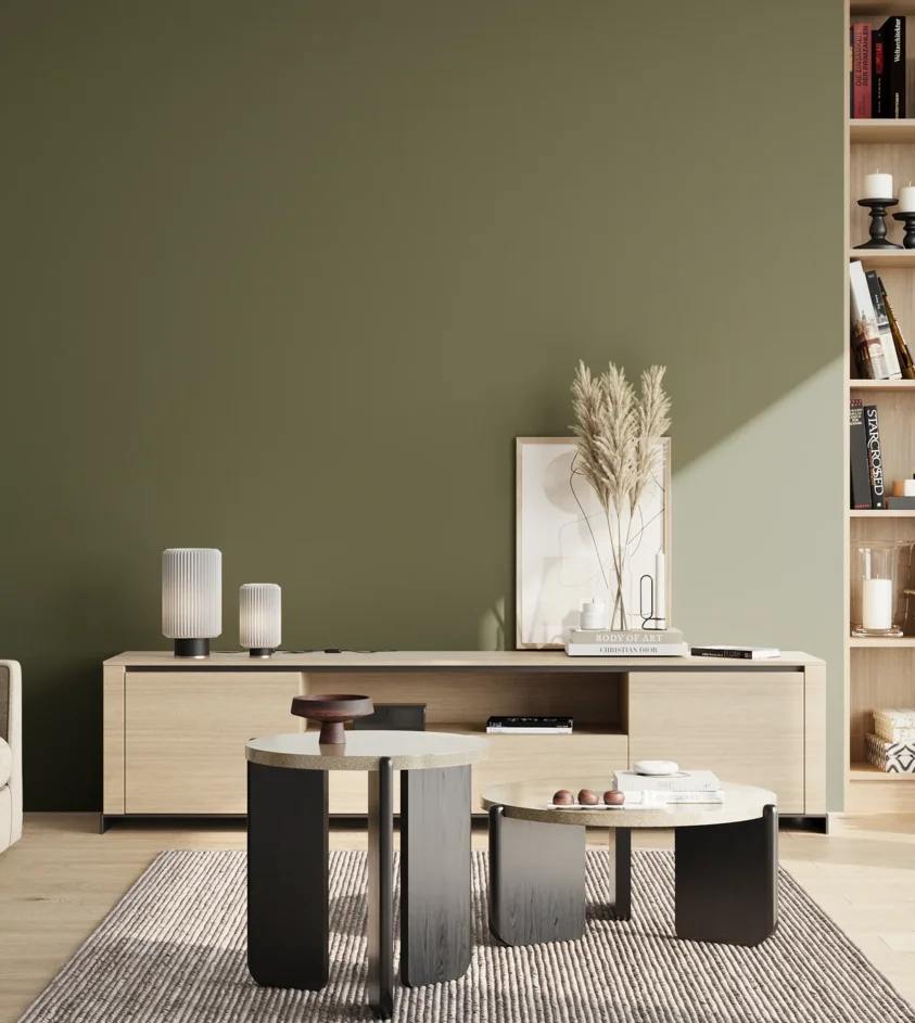 P10_SNIEZKA_salon_02_poludnie_GREY_S6020-G50Y