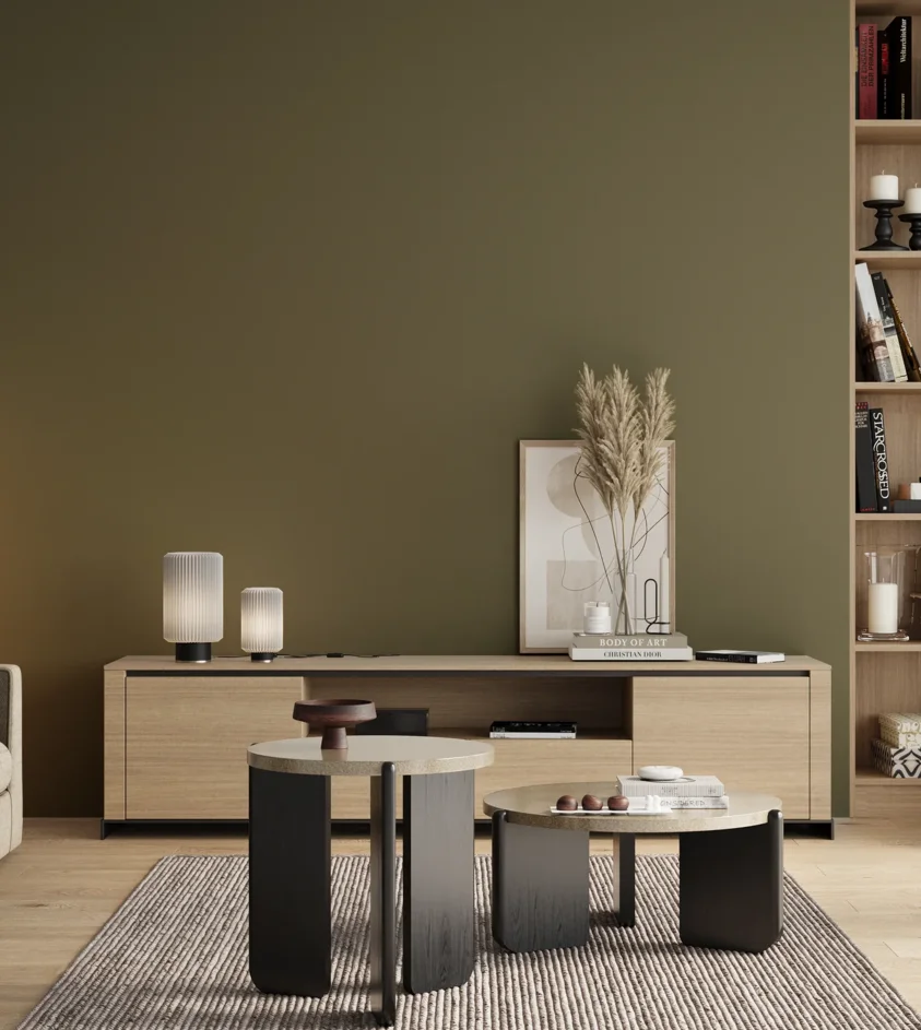 P10_SNIEZKA_salon_00_neutral_GREY_S6020-G70Y