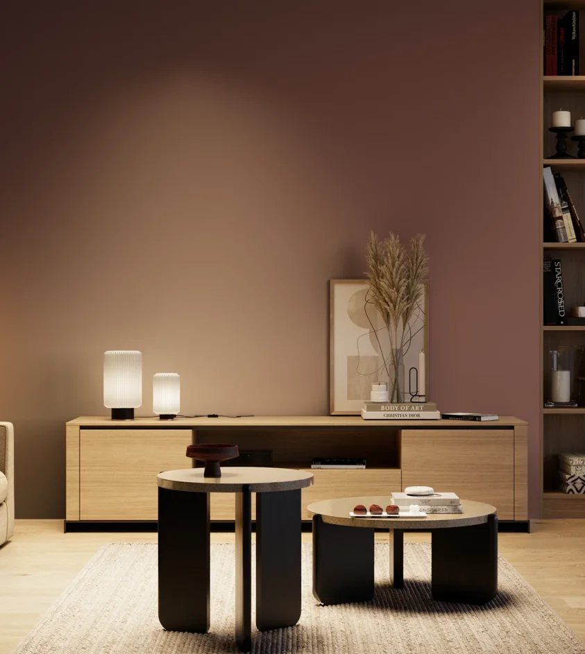 P10_SNIEZKA_salon_04_cieple_GREY_S6020-R