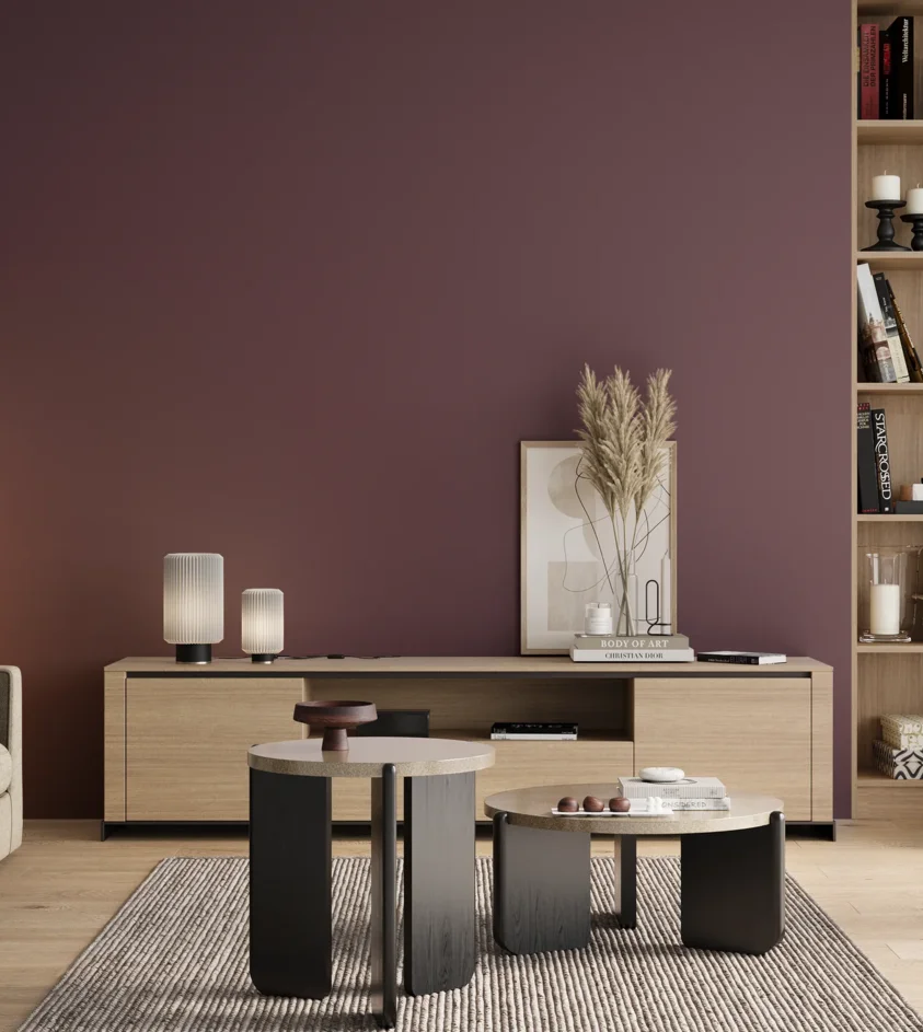 P10_SNIEZKA_salon_00_neutral_GREY_S6020-R30B