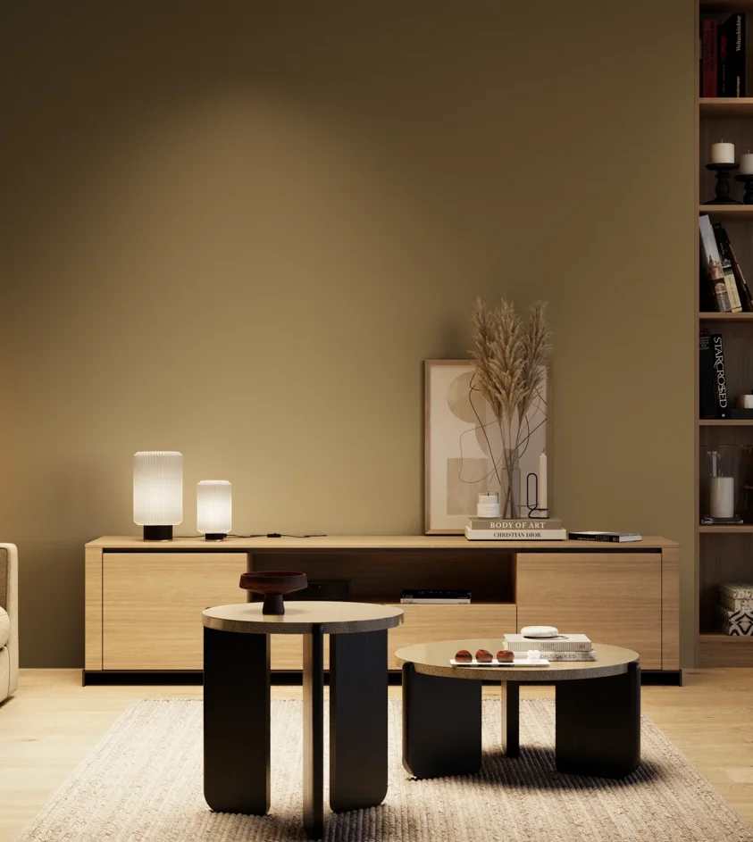 P10_SNIEZKA_salon_04_cieple_GREY_S6020-Y