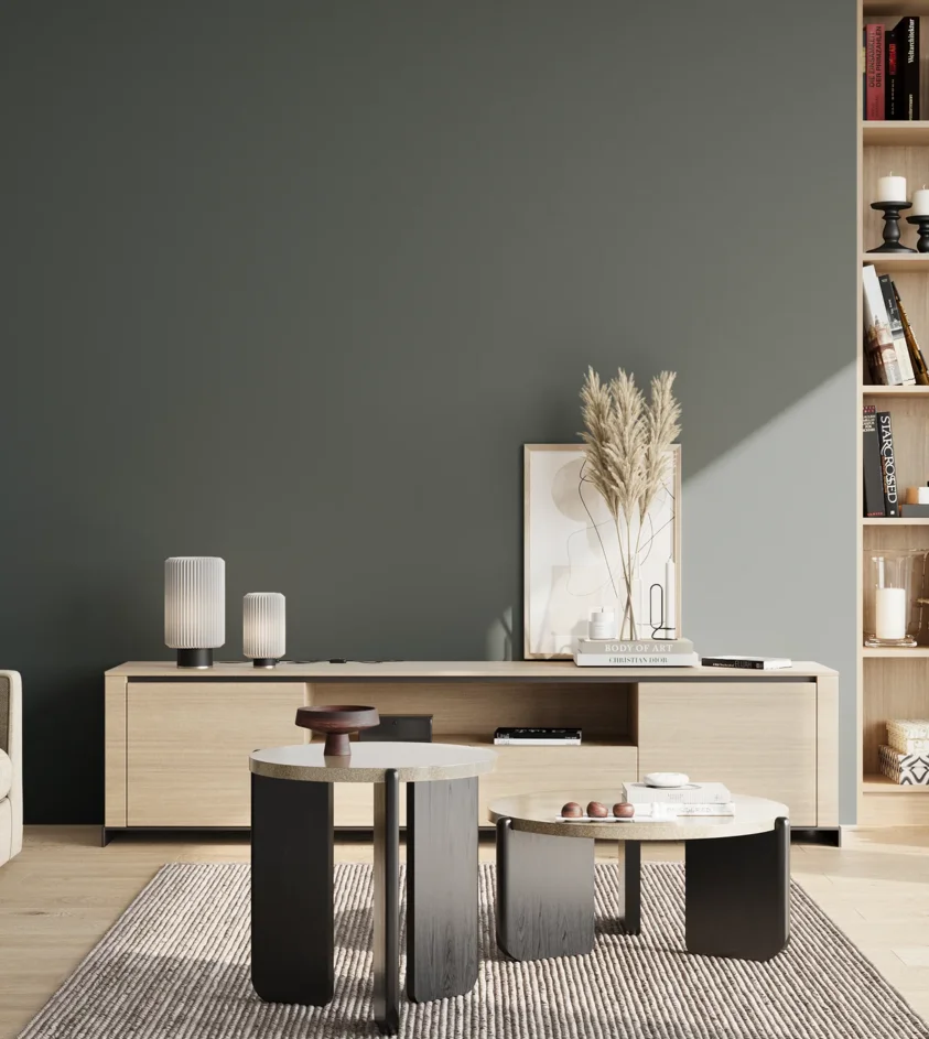 P10_SNIEZKA_salon_02_poludnie_GREY_S7010-B30G