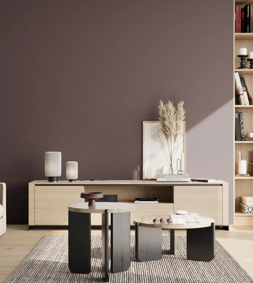 P10_SNIEZKA_salon_02_poludnie_GREY_S7010-R30B