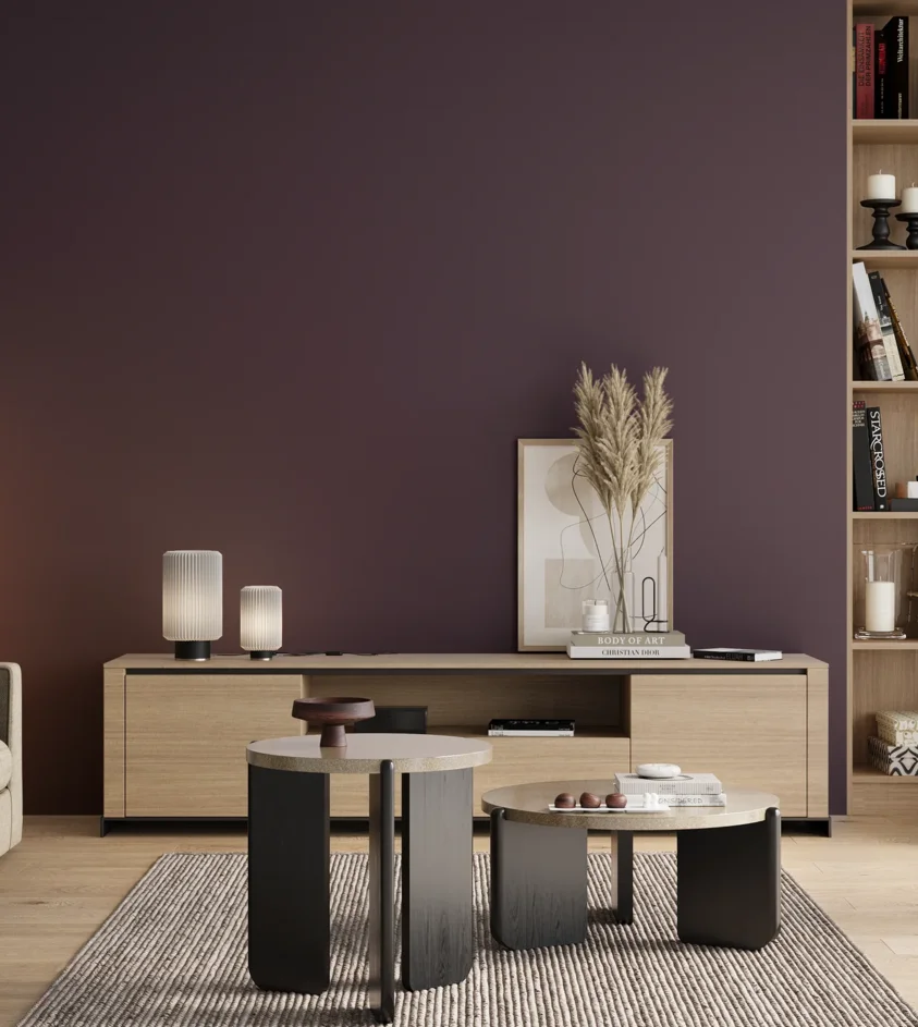 P10_SNIEZKA_salon_00_neutral_GREY_S7020-R50B