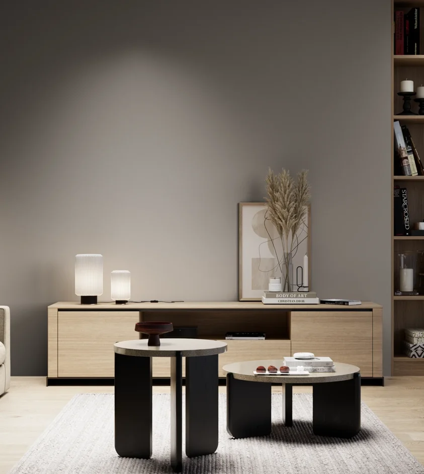 P10_SNIEZKA_salon_05_zimne_GREY_S5502-Y50R