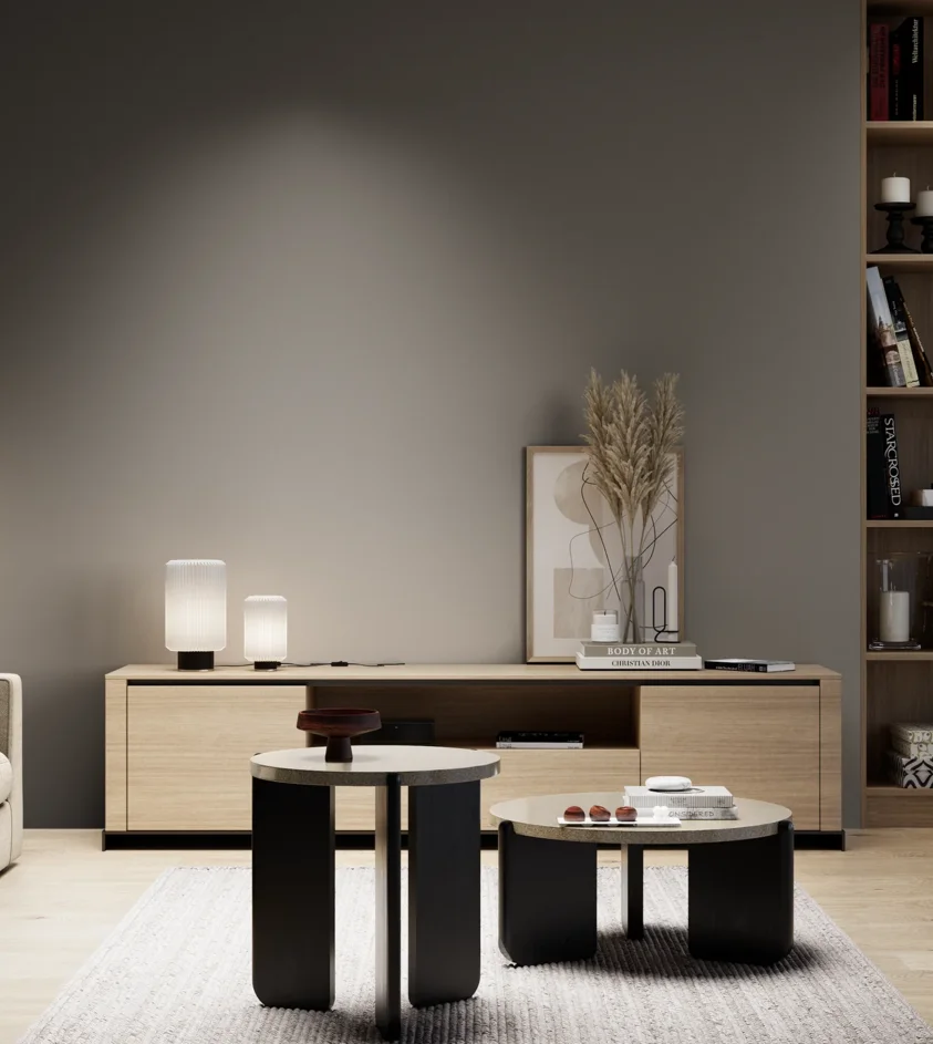 P10_SNIEZKA_salon_05_zimne_GREY_S6502-Y20R