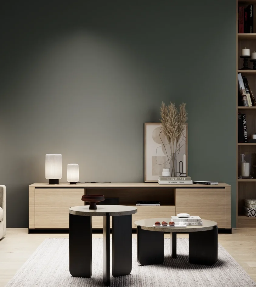 P10_SNIEZKA_salon_05_zimne_GREY_S7005-G