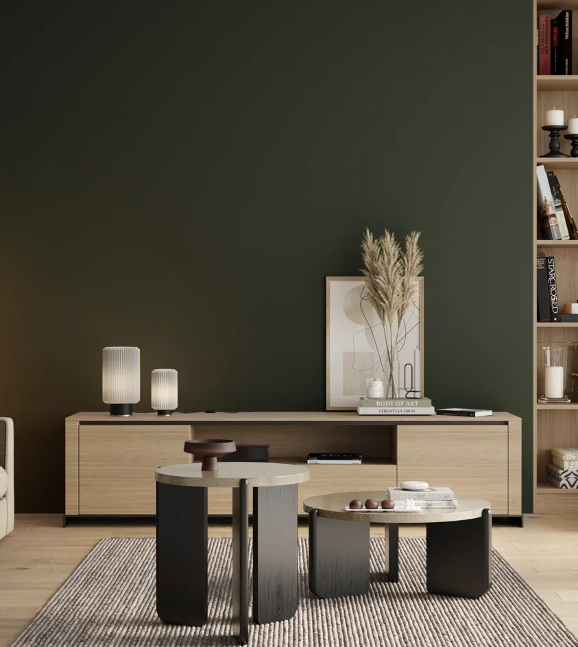 P10_SNIEZKA_salon_00_neutral_GREY_S8005-G