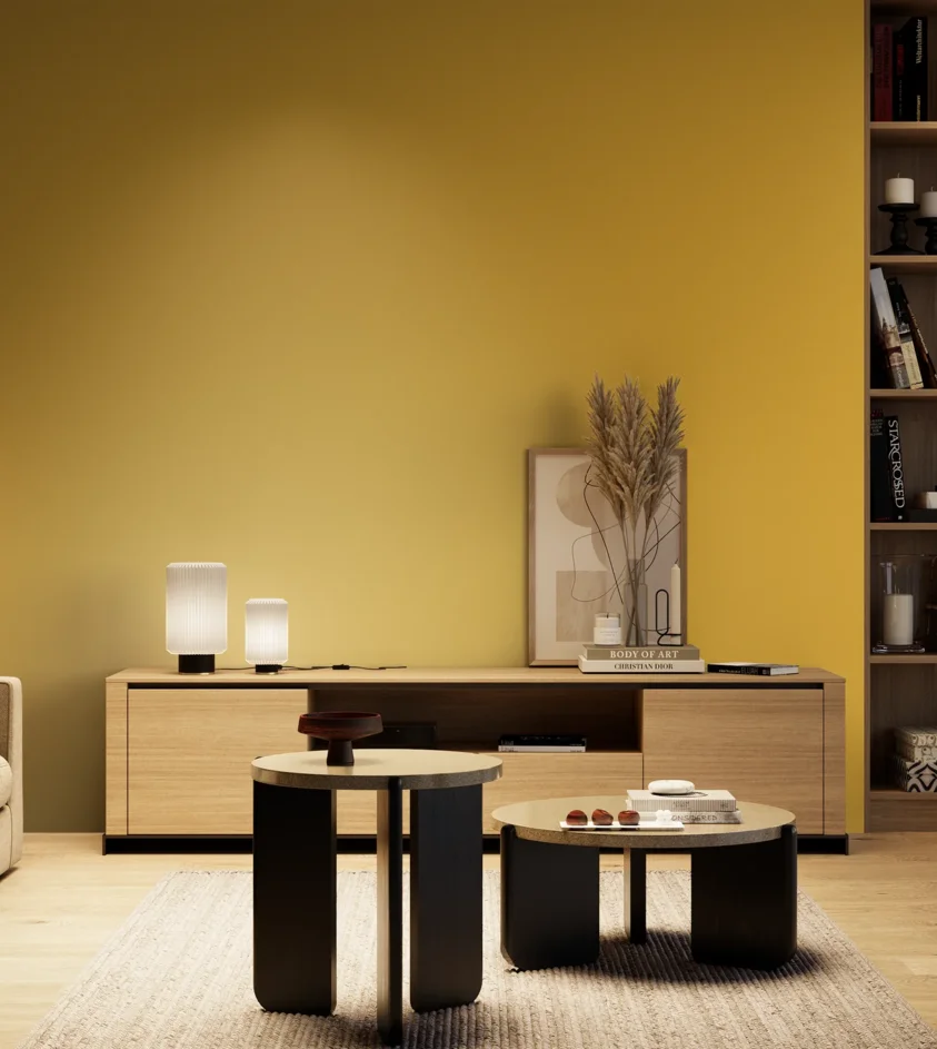 P10_SNIEZKA_salon_04_cieple_GREY_RAL1012