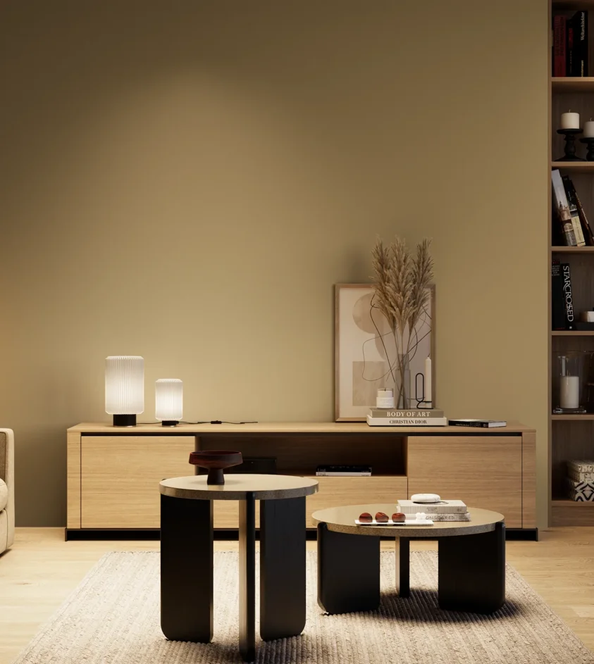 P10_SNIEZKA_salon_04_cieple_GREY_RAL1020