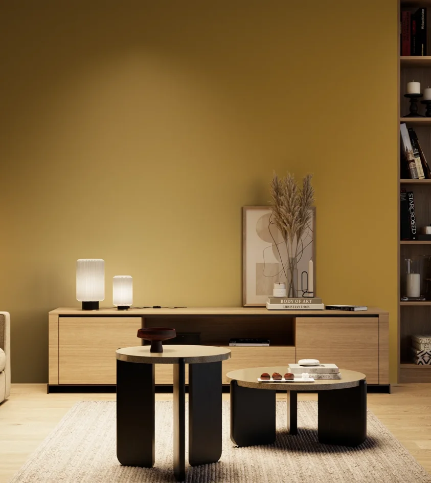 P10_SNIEZKA_salon_04_cieple_GREY_RAL1027
