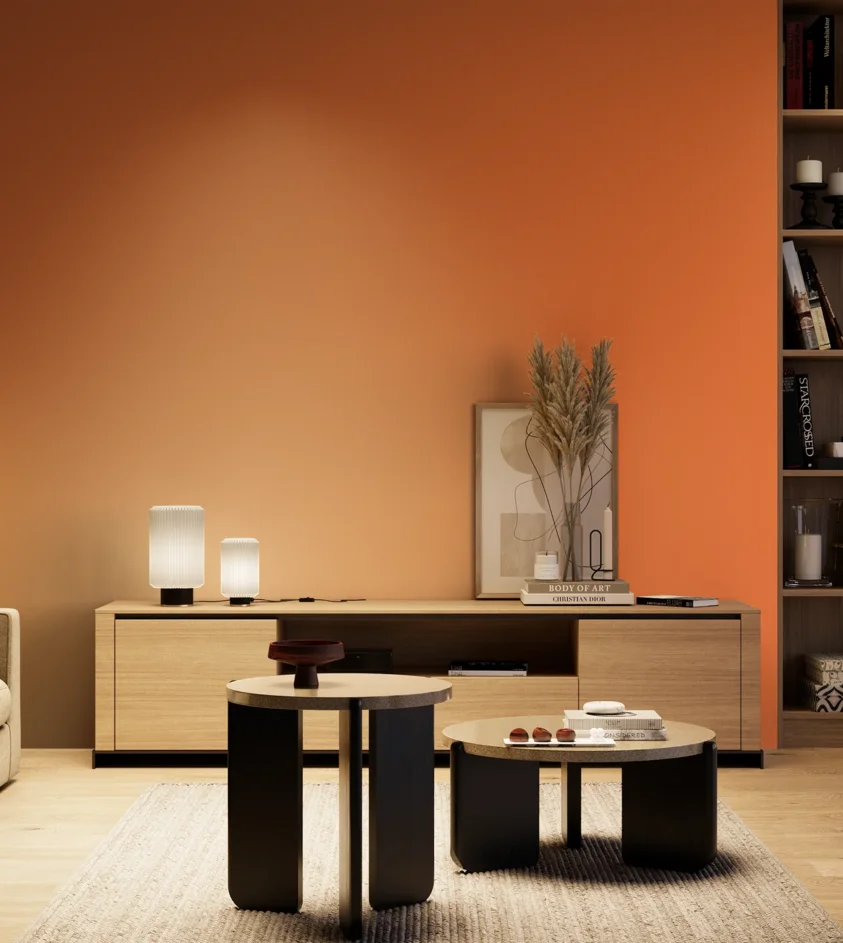 P10_SNIEZKA_salon_04_cieple_GREY_RAL2003