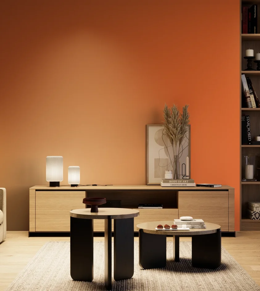 P10_SNIEZKA_salon_04_cieple_GREY_RAL2008