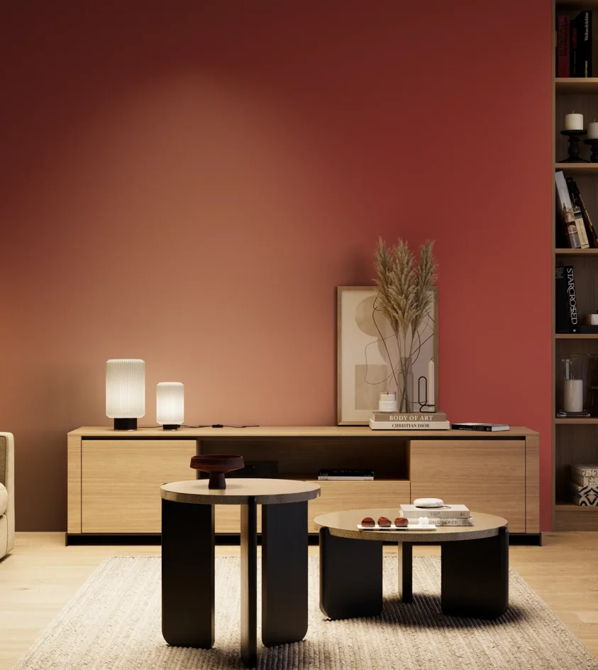 P10_SNIEZKA_salon_04_cieple_GREY_RAL3002