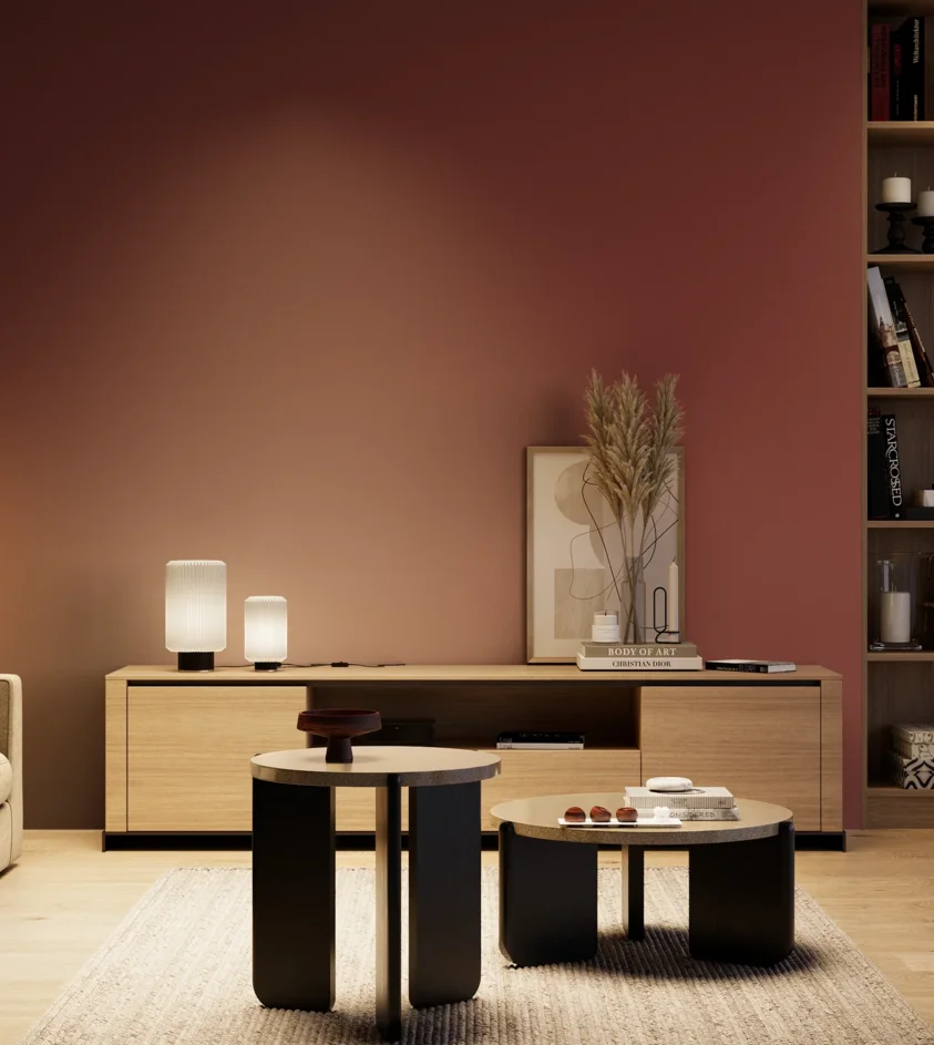 P10_SNIEZKA_salon_04_cieple_GREY_RAL3011