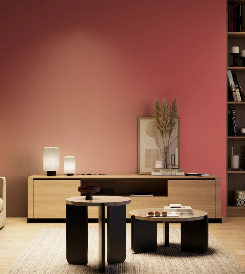 P10_SNIEZKA_salon_04_cieple_GREY_RAL3017