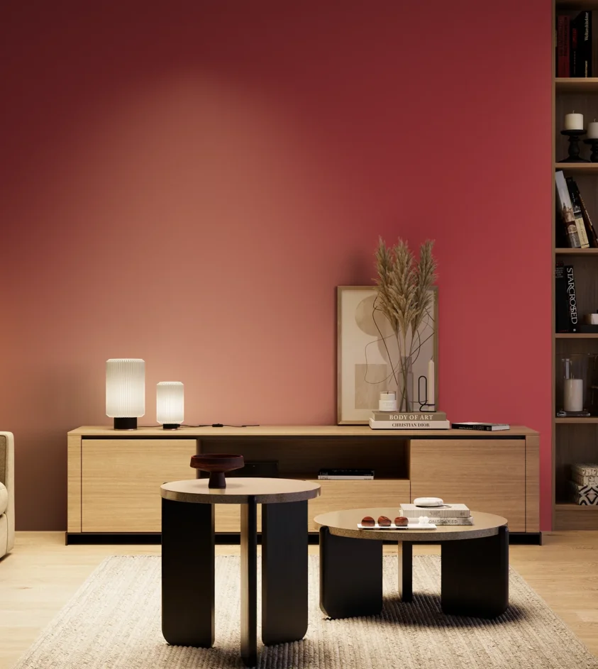 P10_SNIEZKA_salon_04_cieple_GREY_RAL3027