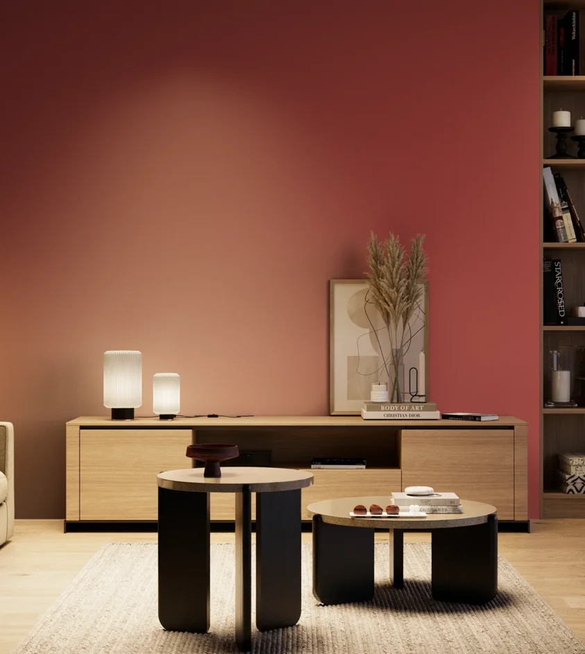 P10_SNIEZKA_salon_04_cieple_GREY_RAL3031
