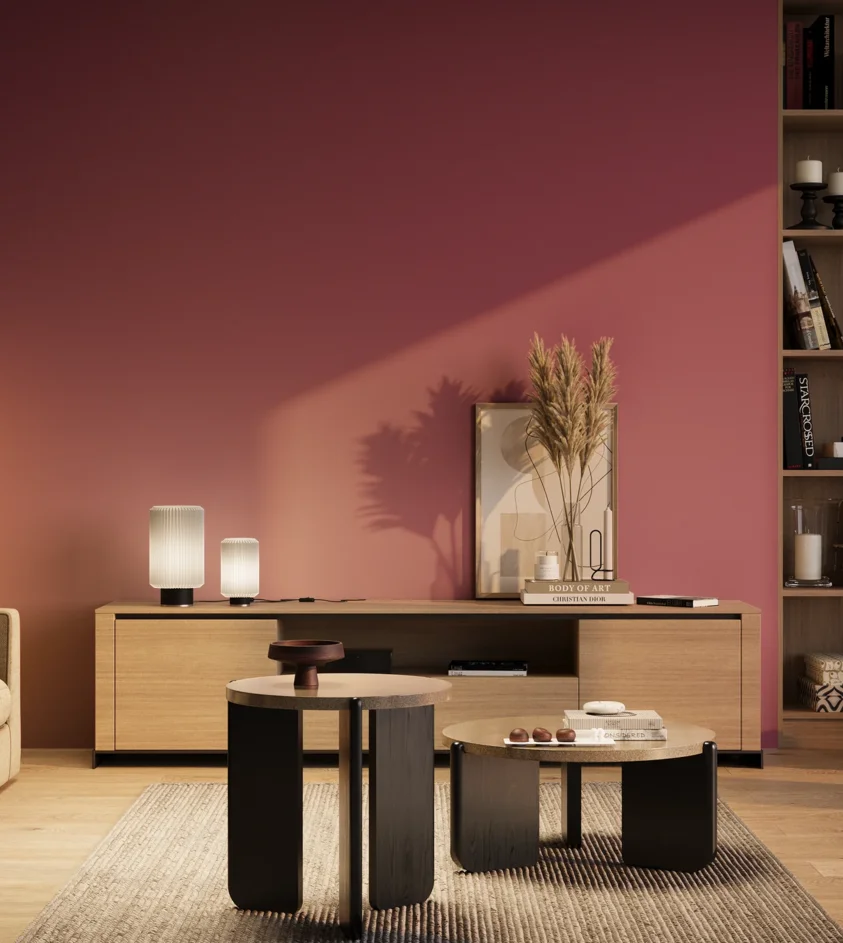P10_SNIEZKA_salon_03_wieczor_GREY_RAL4010