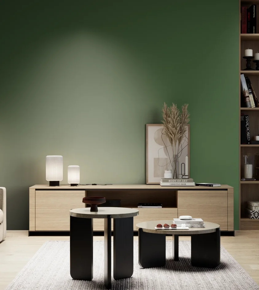 P10_SNIEZKA_salon_05_zimne_GREY_RAL6002