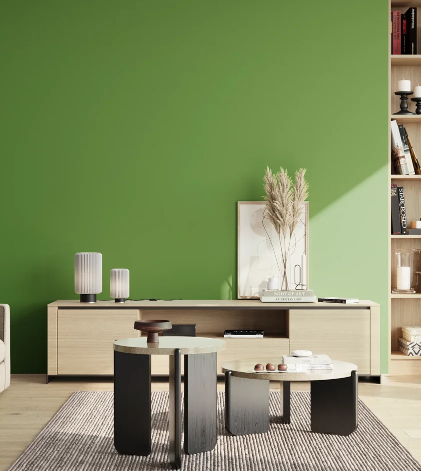 P10_SNIEZKA_salon_02_poludnie_GREY_RAL6018