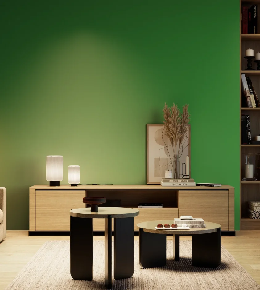P10_SNIEZKA_salon_04_cieple_GREY_RAL6037