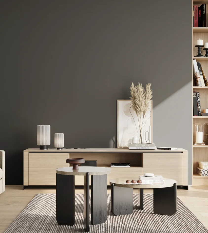 P10_SNIEZKA_salon_02_poludnie_GREY_RAL7016