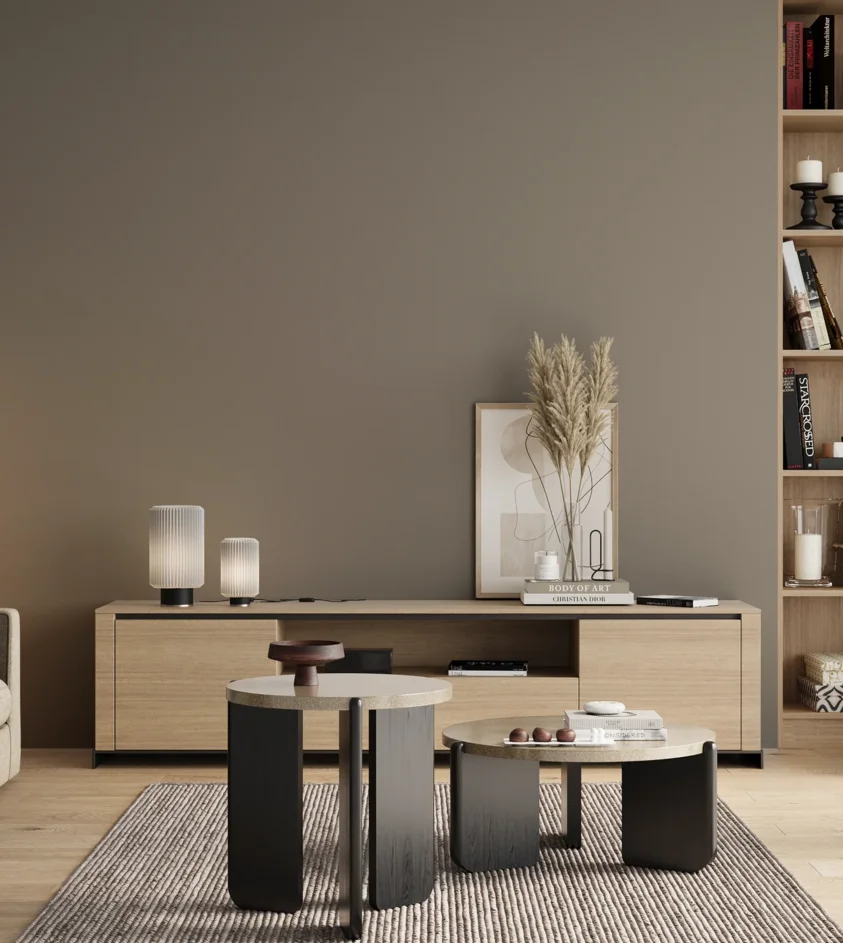P10_SNIEZKA_salon_00_neutral_GREY_RAL7030