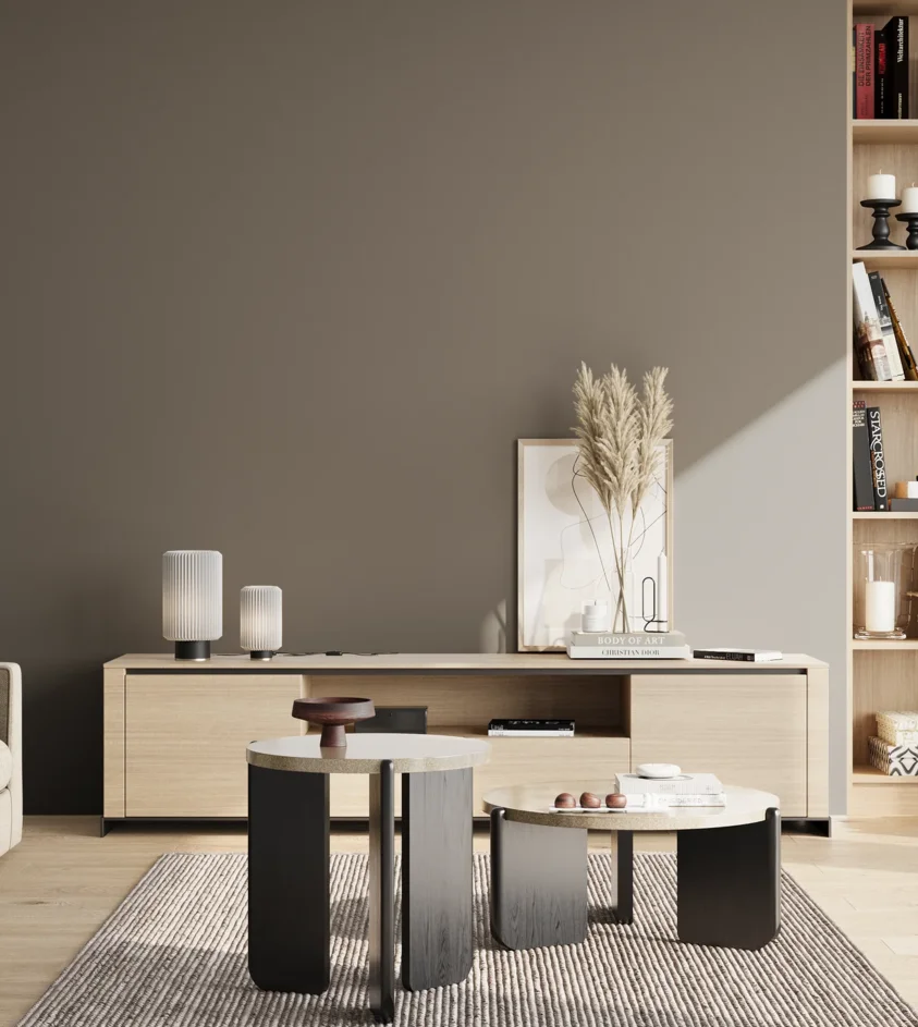 P10_SNIEZKA_salon_02_poludnie_GREY_RAL7039