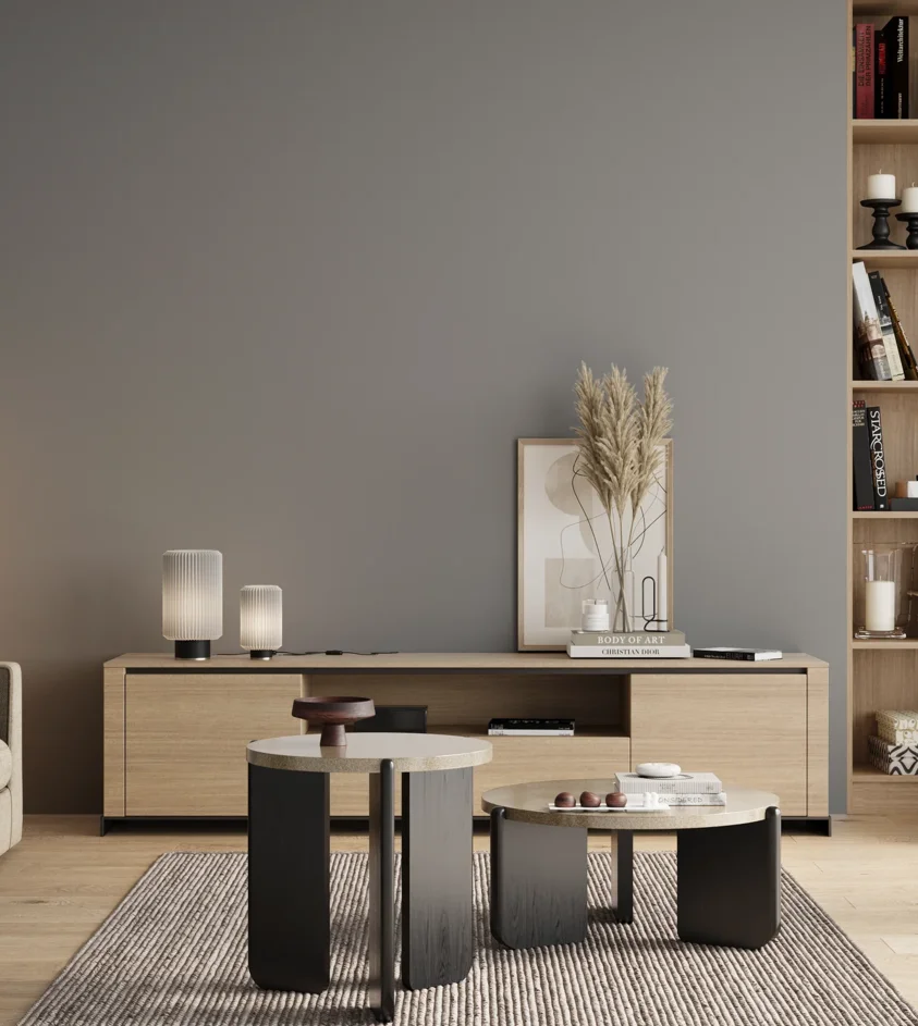 P10_SNIEZKA_salon_00_neutral_GREY_RAL7040