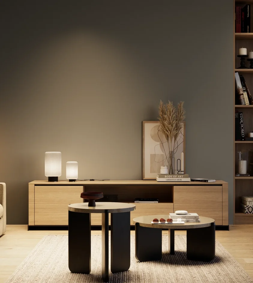 P10_SNIEZKA_salon_04_cieple_GREY_RAL7043