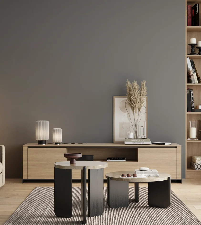 P10_SNIEZKA_salon_00_neutral_GREY_RAL7046