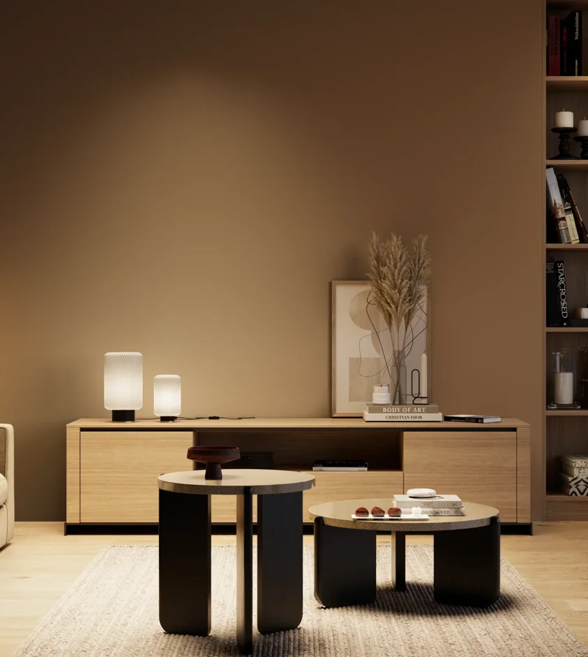 P10_SNIEZKA_salon_04_cieple_GREY_RAL8008