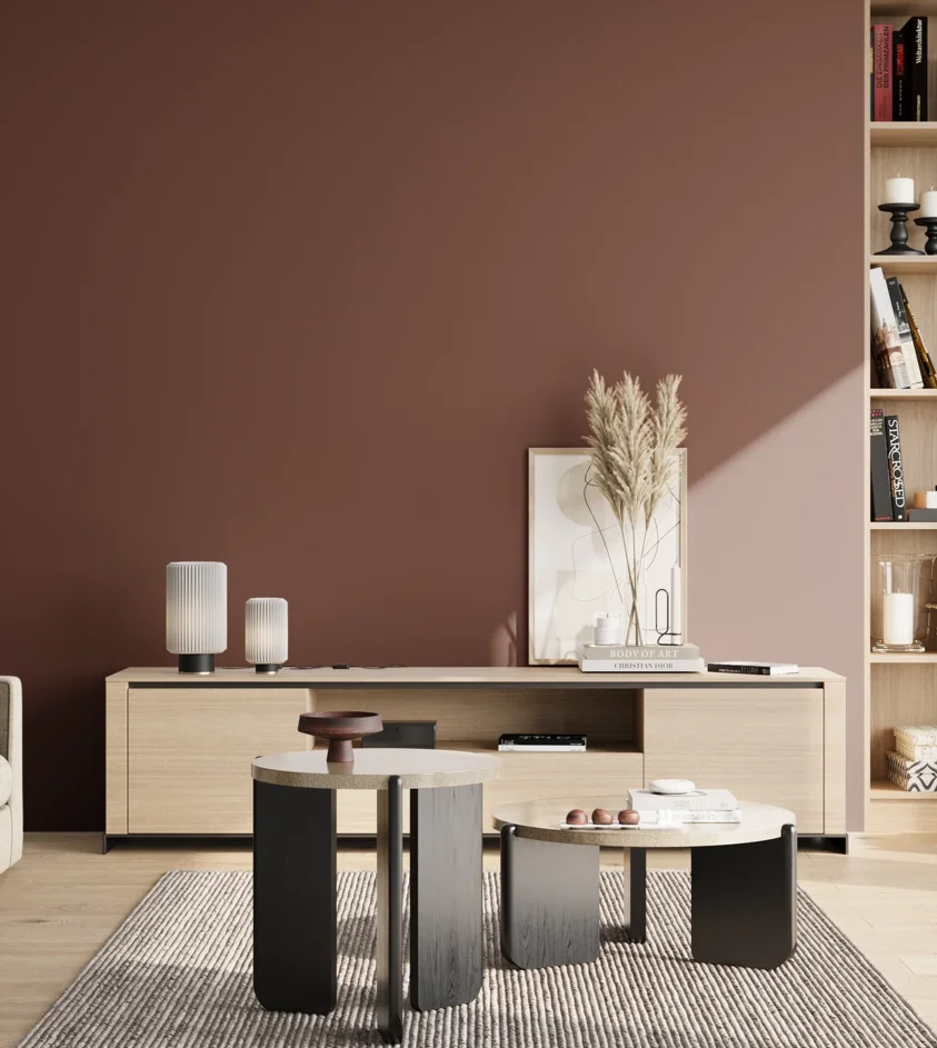 P10_SNIEZKA_salon_02_poludnie_GREY_RAL8012